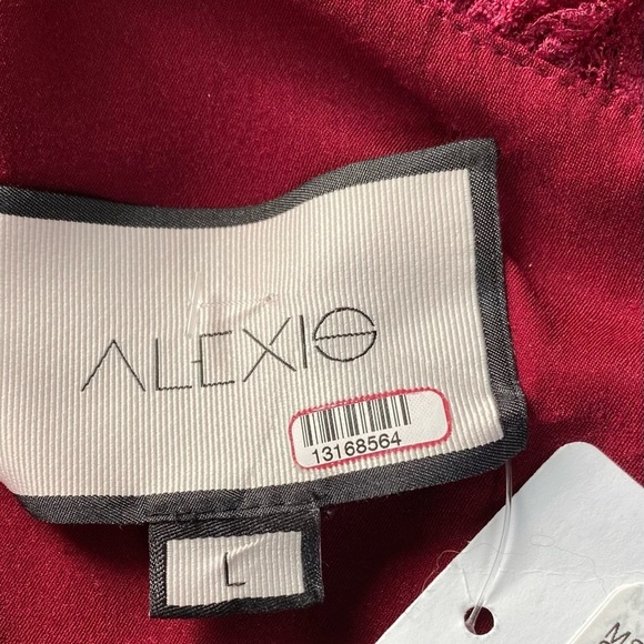 Alexis Ilana Lace Mini One Shoulder Dress - Picture 14 of 15